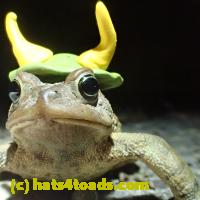 /home//u458753944/public_html/sourcegallery//Roxborough Toad Detour/2013-2019/2018/2018-03-29/P3290081.JPG